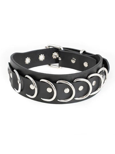 Leather D-Ring Collar