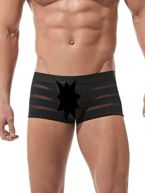 Mesh Striped Boxer Brief