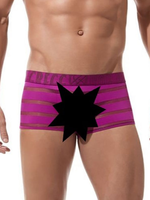 Mesh Striped Boxer Brief