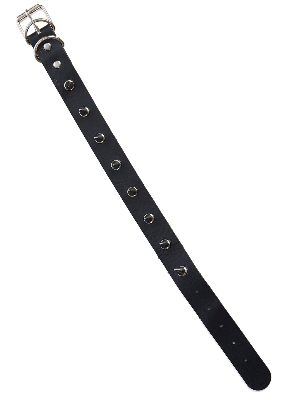 Caim Spike Collar