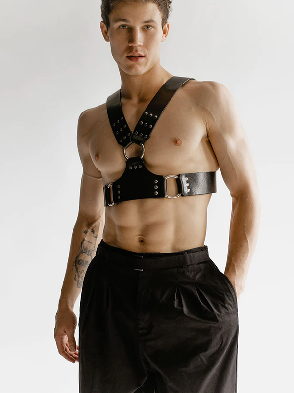 Harness Arwin