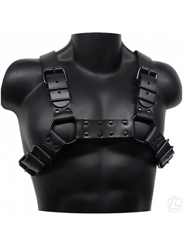 Bulldog Harness with Black Hardware