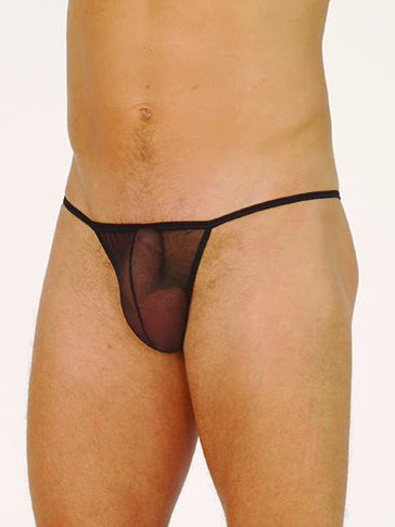 Mesh and Satin Brief