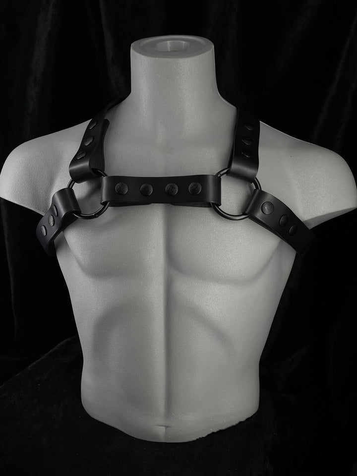 Snap X-Back Leather Harness