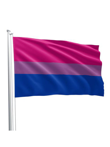 Bisexual Pride Flag