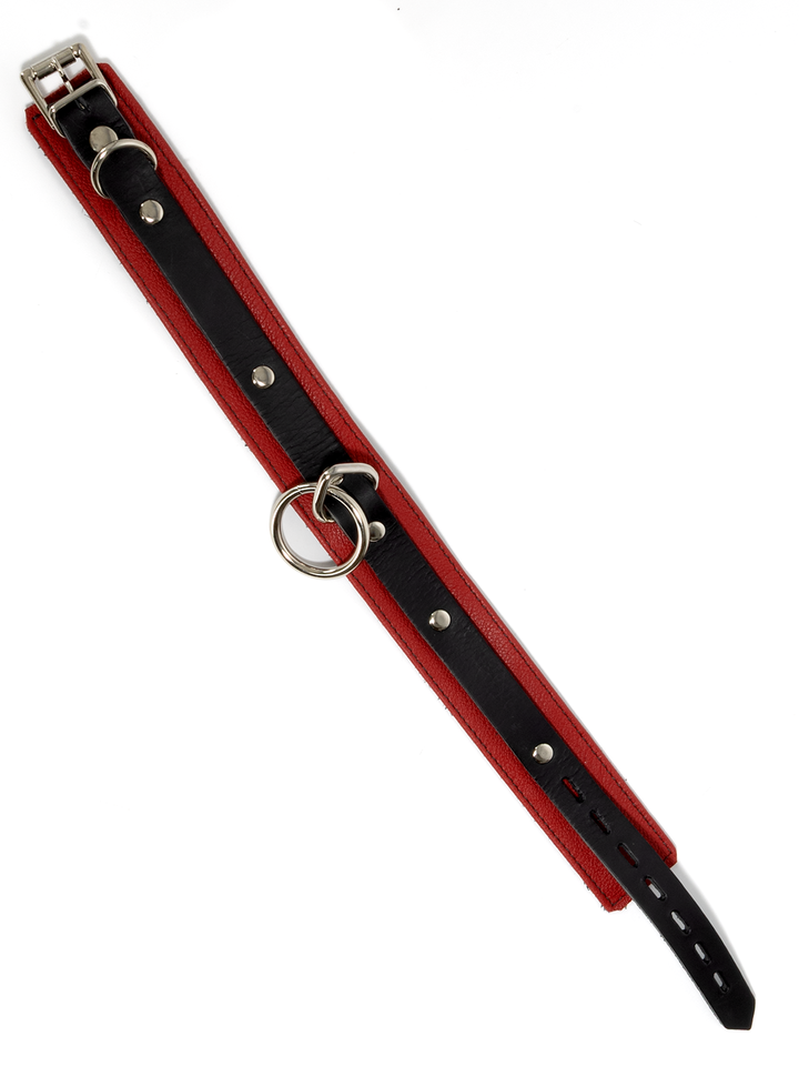 Jaguar Collar