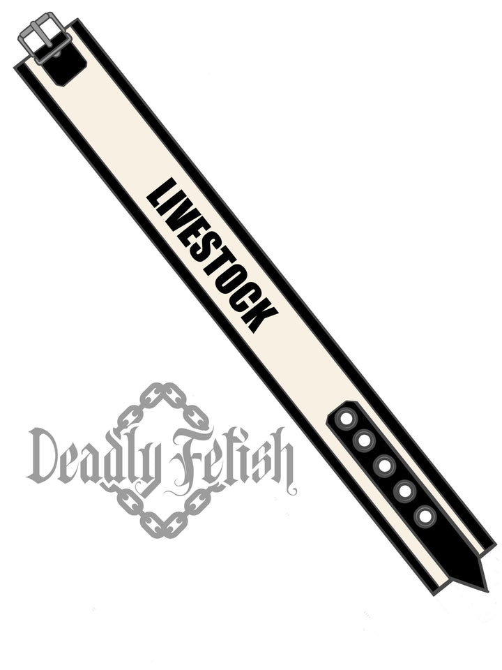 Deadly Fetish Made-To-Order Latex: Collar #01