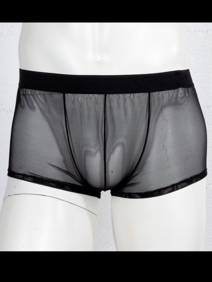 Mesh Boxer Brief
