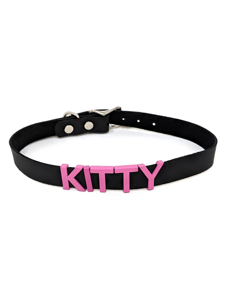 Leather ID Collar