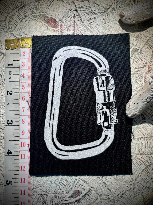 Three Raccoons Sew In Patch