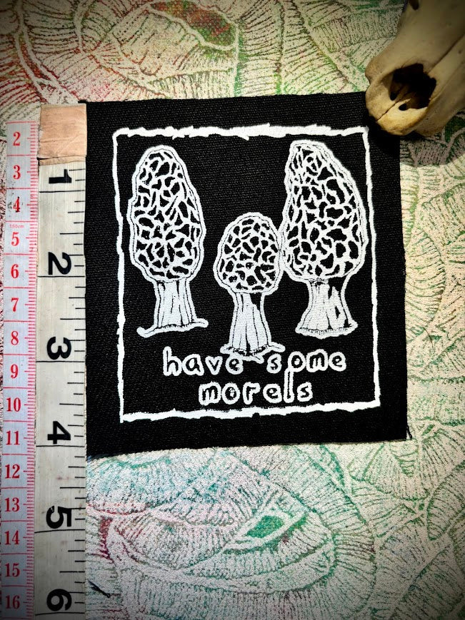 Three Raccoons Sew In Patch