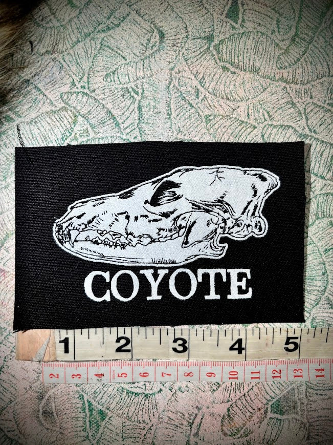 Three Raccoons Sew In Patch