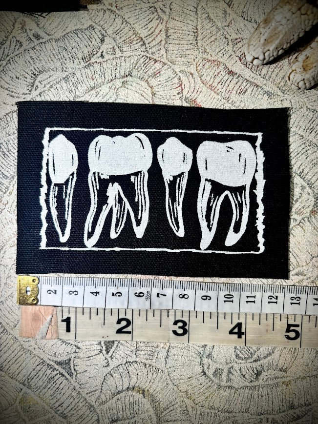 Three Raccoons Sew In Patch