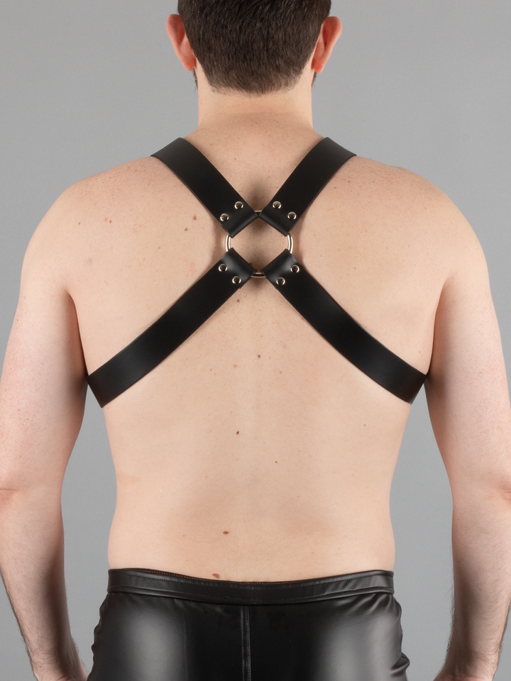 Wide X Leather Harness