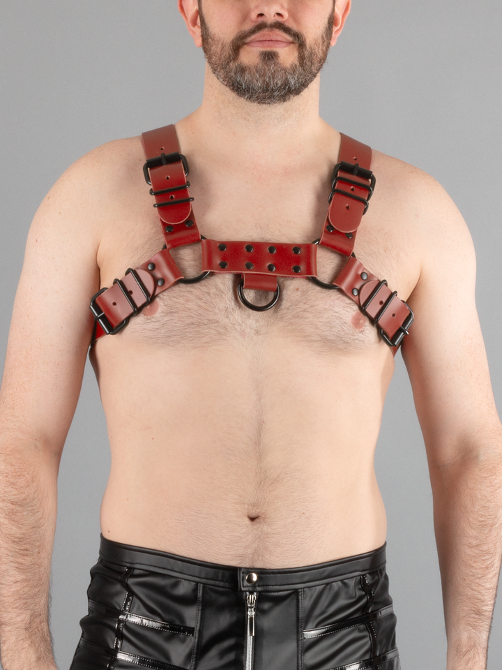 Bulldog Harness with Black Hardware