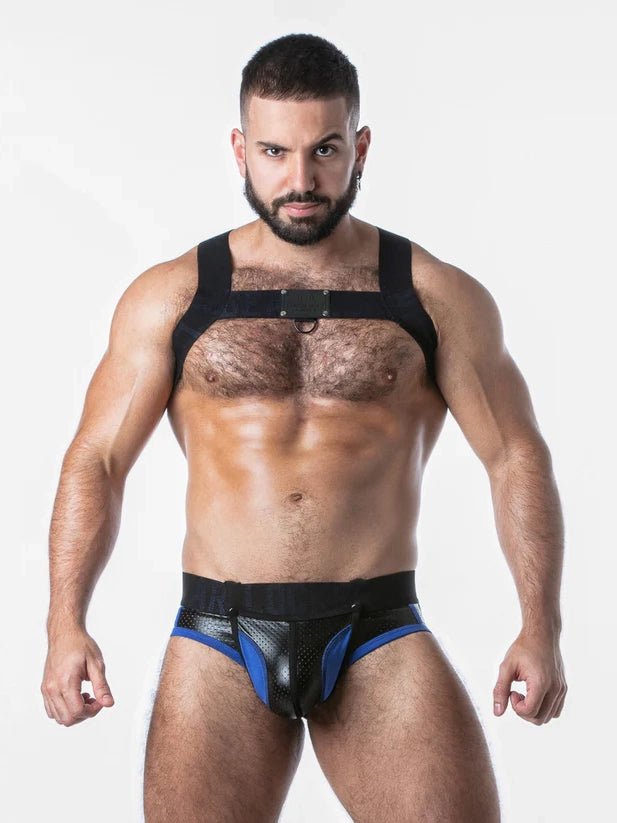 Convertible Body Harness