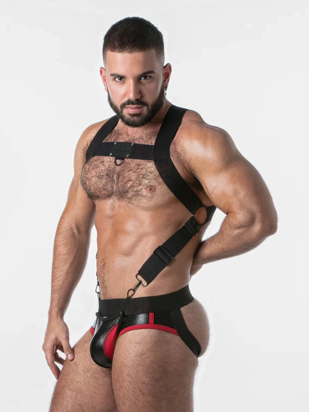 Convertible Body Harness