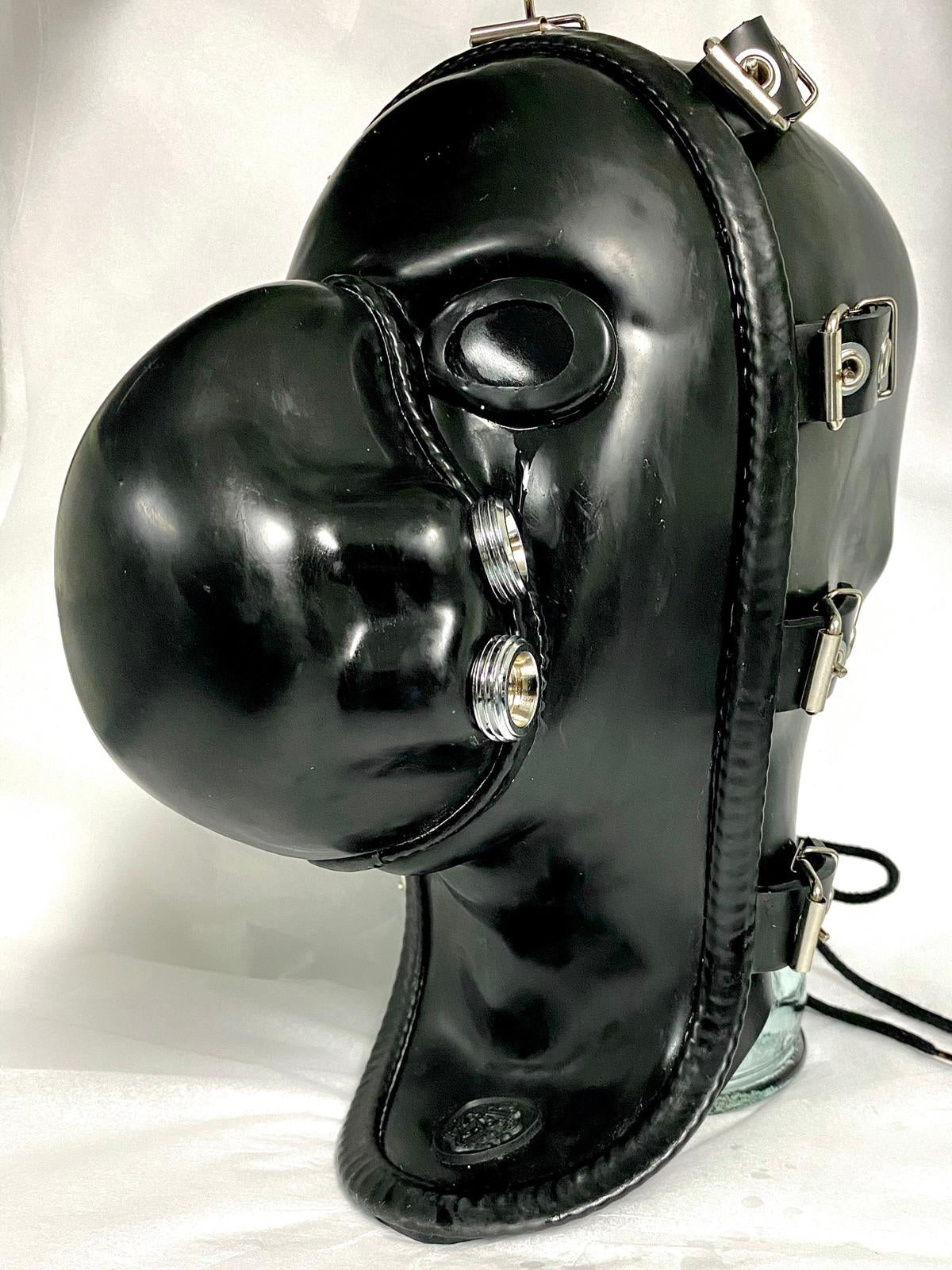 Mask DF System Hood with Lenses