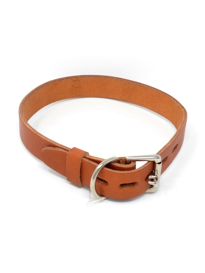 1" Leather Pet Collar