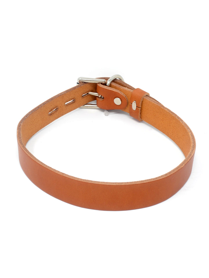 1" Leather Pet Collar