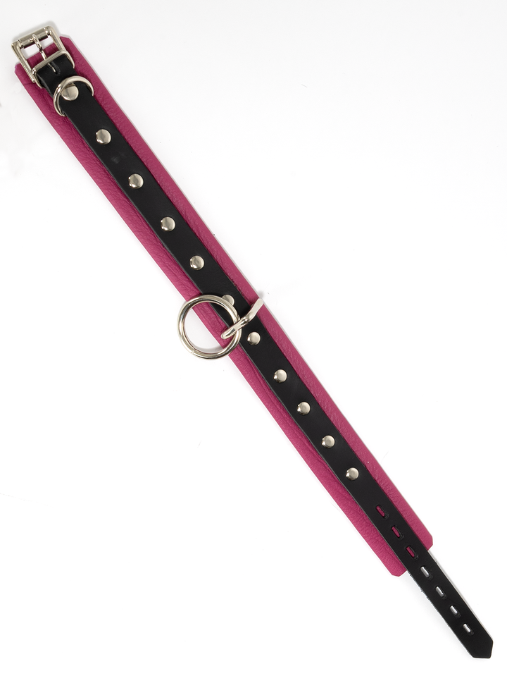 Leather Locking Collar