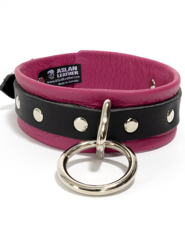 Leather Locking Collar