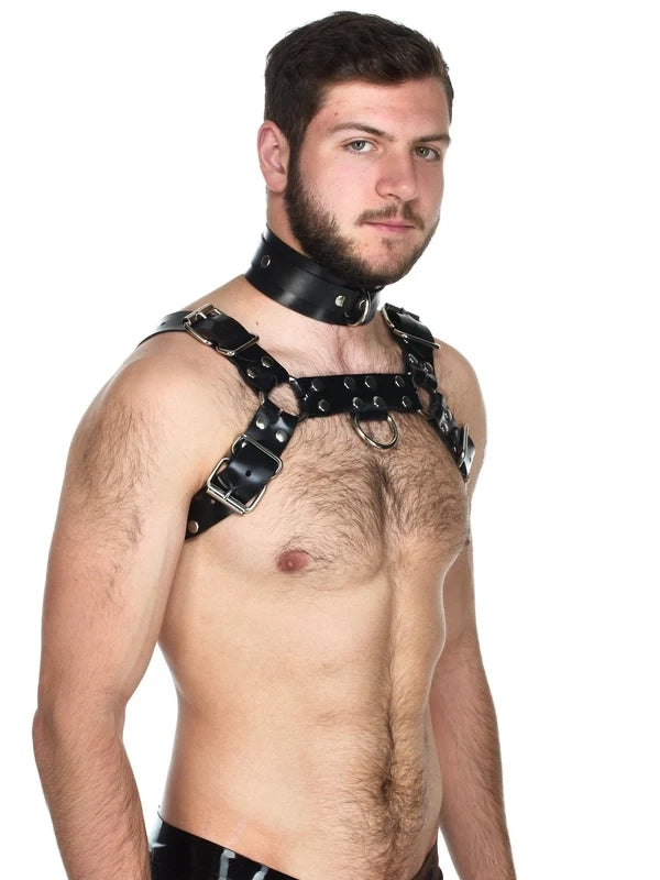 Heavy Rubber Bulldog Harness