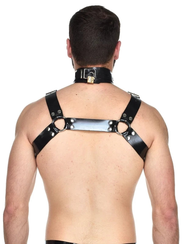 Heavy Rubber Bulldog Harness