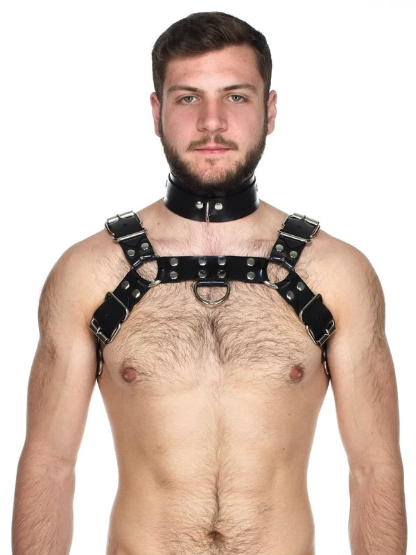 Heavy Rubber Bulldog Harness
