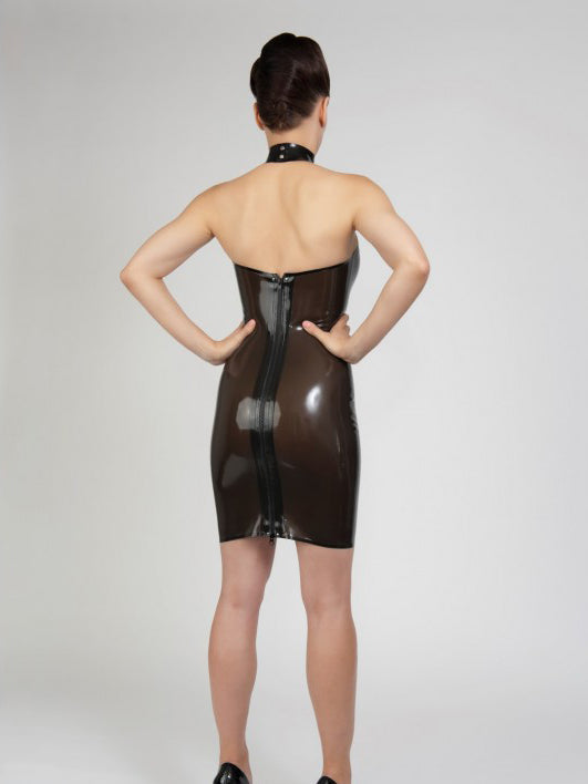 Translucent Panel Latex Dress