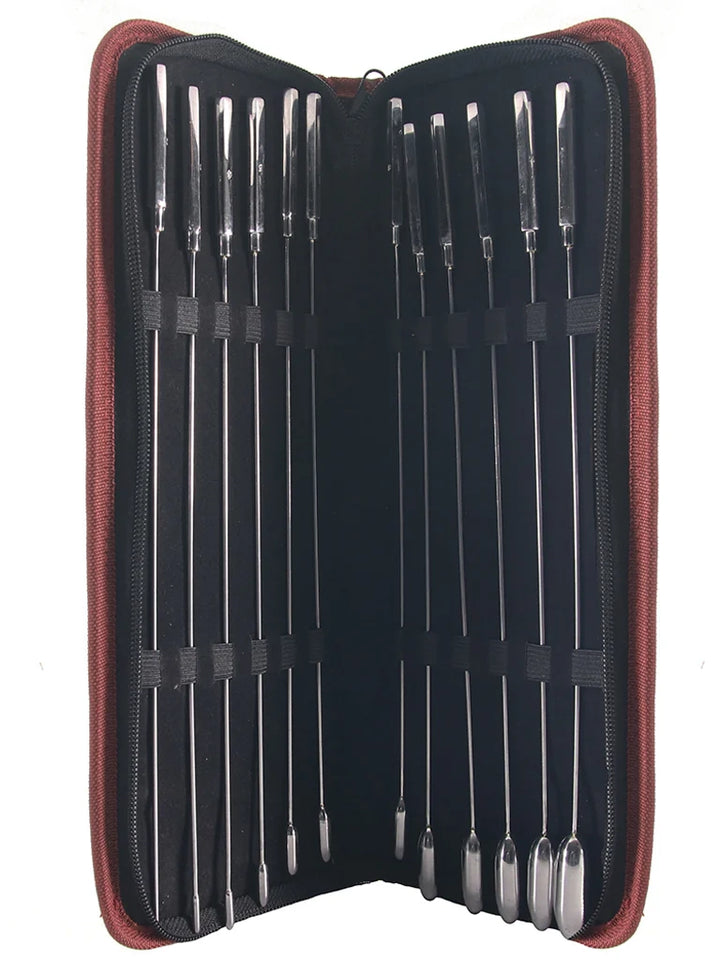 Stainless Steel Rose Bud Sounding Set