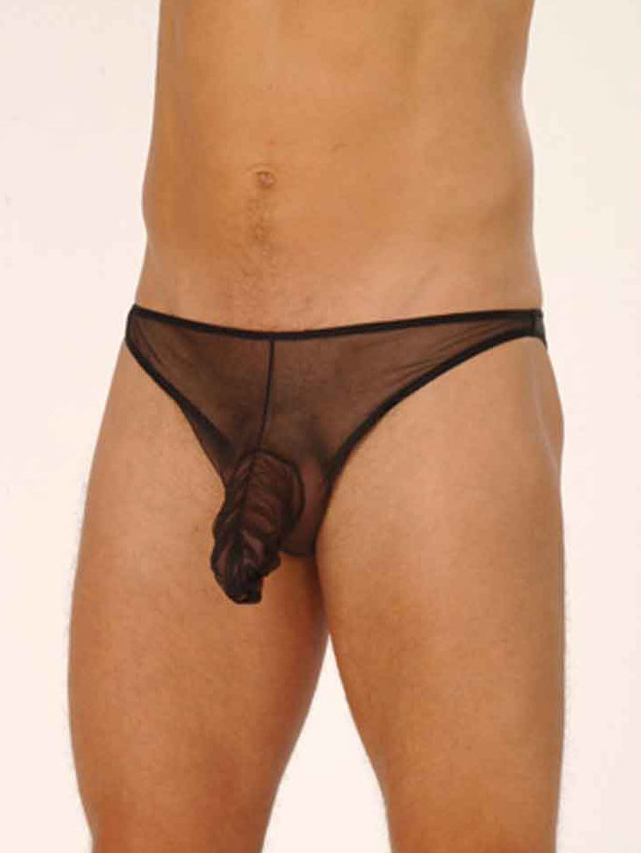 Mesh Sheath Brief