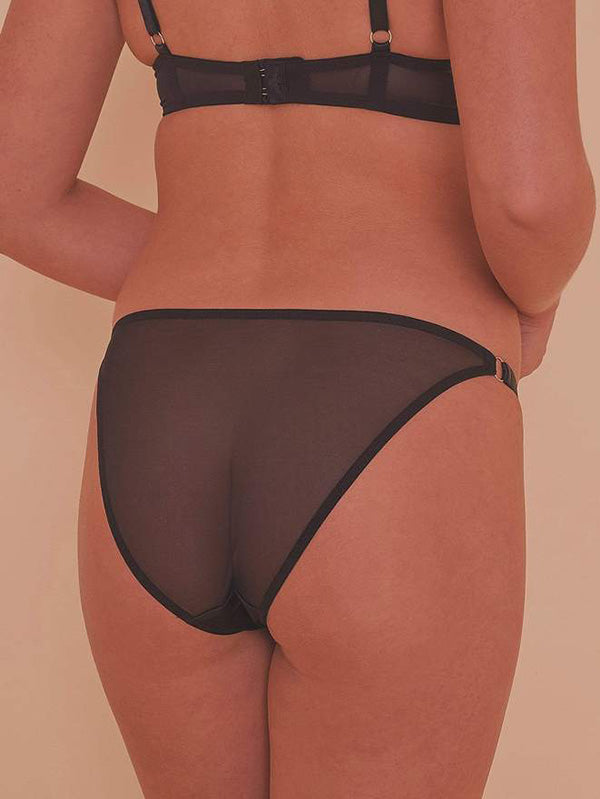 Virginia Brief