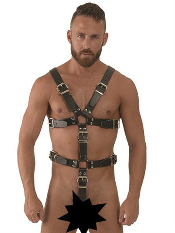 Leather Full Body Harness