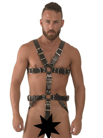 Leather Lockable Full Body Harness