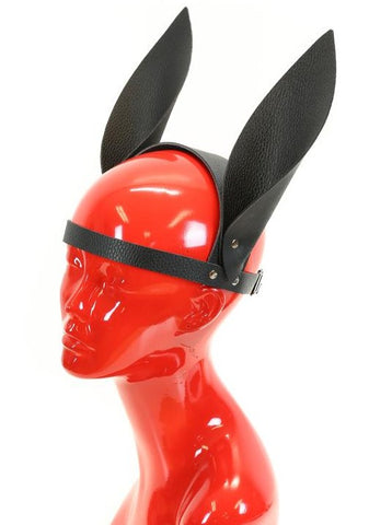 Pony Head Harness