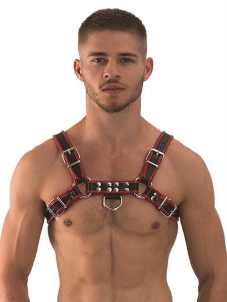 Contrast Trim Leather Bulldog Harness