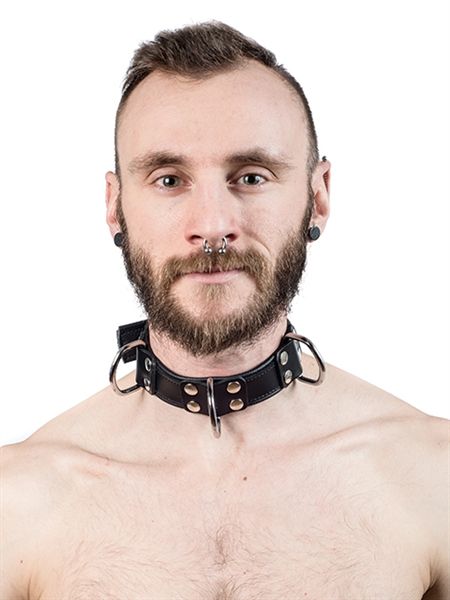 Leather 4 D-Ring Collar