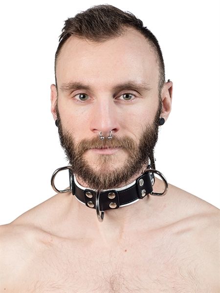 Leather 4 D-Ring Collar
