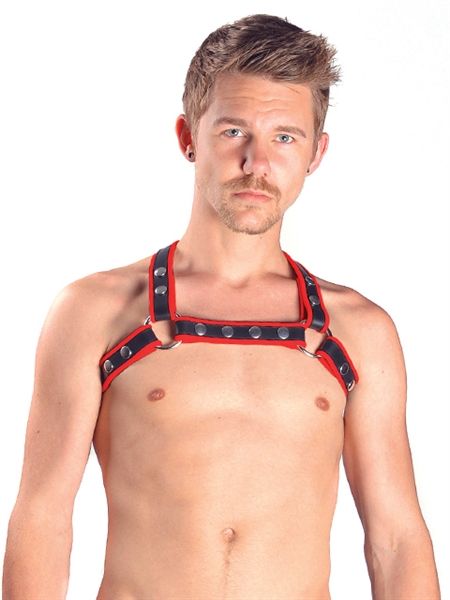 Contrast Trim Leather X-Back Harness