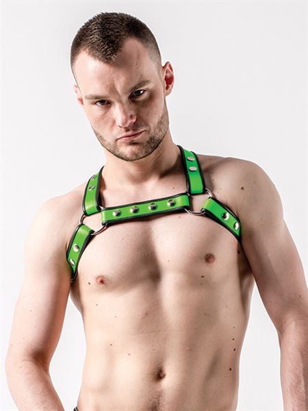 Contrast Trim Leather X-Back Harness